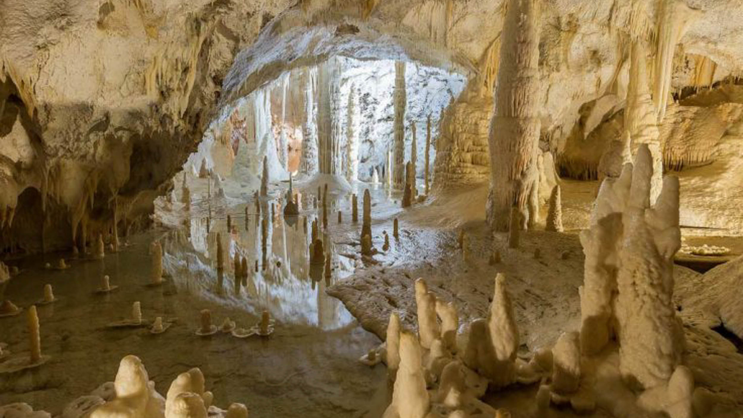 https://www.lovelyancona.it/grotte-di-frasassi/